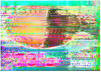 sstv2.PNG