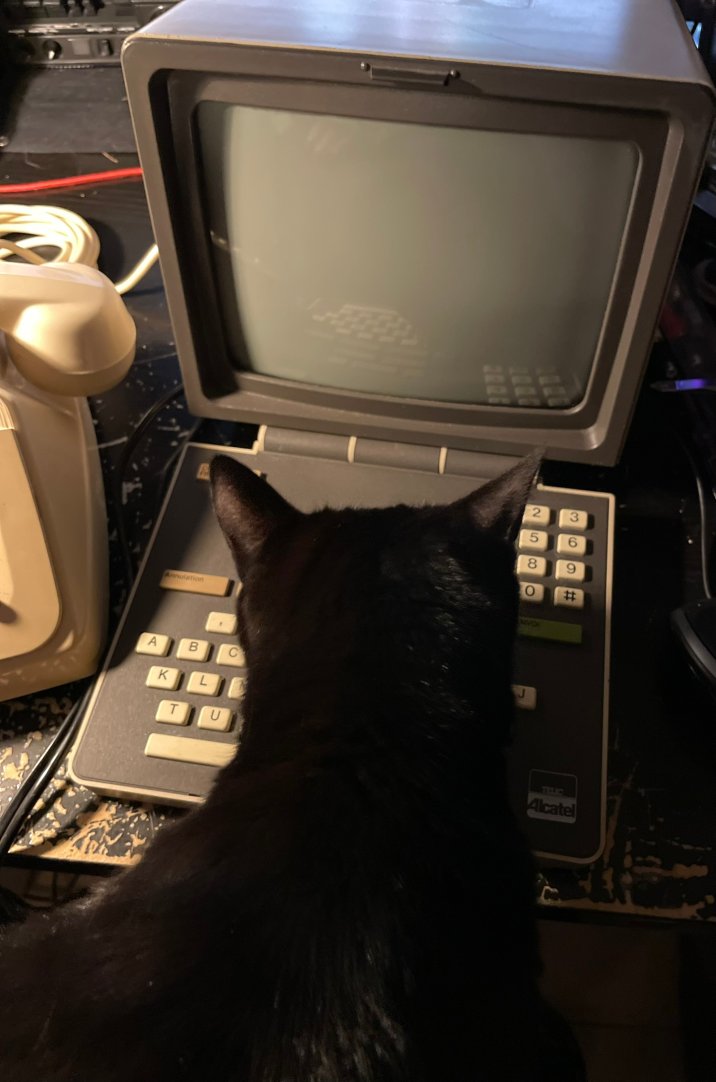 20241024_210131.jpeg